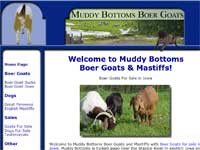 Muddy Bottom Boer Goats