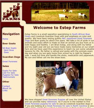 Boer Goats and Great Pyrenees For Sale