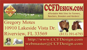 Boer Goat Web Design Business Card