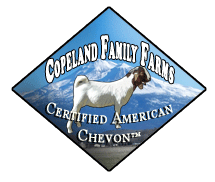 Copeland Family Farms Logo
