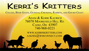 Kerri's Kritters Business Card