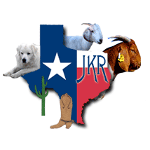 Just Kiddin Ranch Logo
