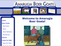 Amarugia Boer Goats