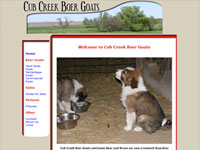 Cub Creek Boer Goats