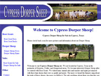 Cypress Dorper Sheep