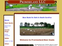 Promiseland Boer Goats