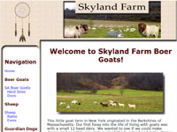 Skyland Farm Boer Goats
