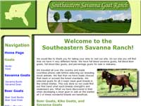 Southeastern Savanna Ranch