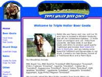 Triple Holler Boer Goats