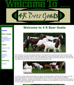 Boer Goats for Sale in Texas