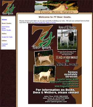 Boer Goats for Sale in Texas