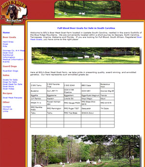 Boer Goats for sale South Carolina