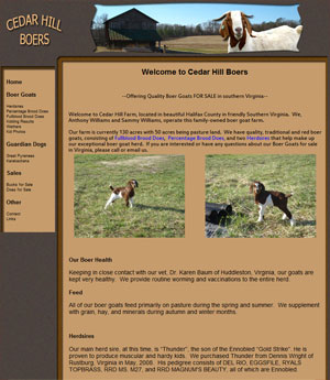 Boer Goats For Sale Virginia