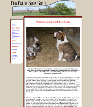 Boer Goats For Sale Nebraska
