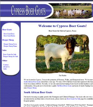 Boer Goats for Sale in Texas