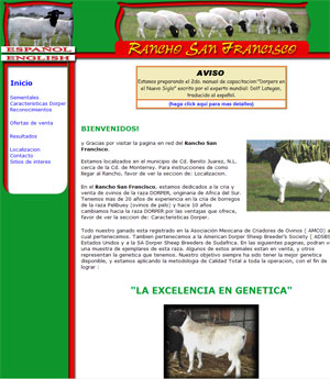 Dorper Sheep for Sale in Mexico