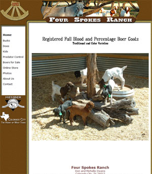 Boer Goats for Sale in Texas