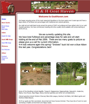 Boer Goats for sale Minnesota
