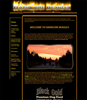 Beagles for Sale North Carolina