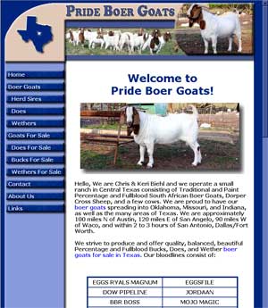 Boer Goats For Sale Texas