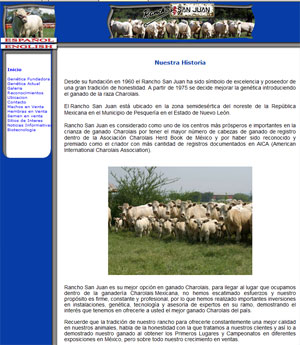 Dorper Sheep for Sale in Mexico