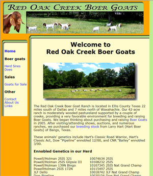 Boer Goats for Sale in Texas