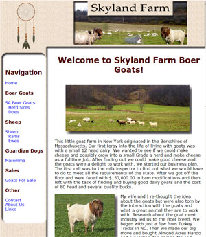 Boer Goats For Sale New York