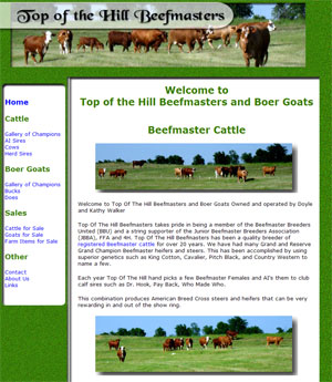 Beefmaster Cattle and Boer Goats for Sale in Texas