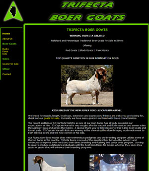 Boer Goats for Sale in Illinois